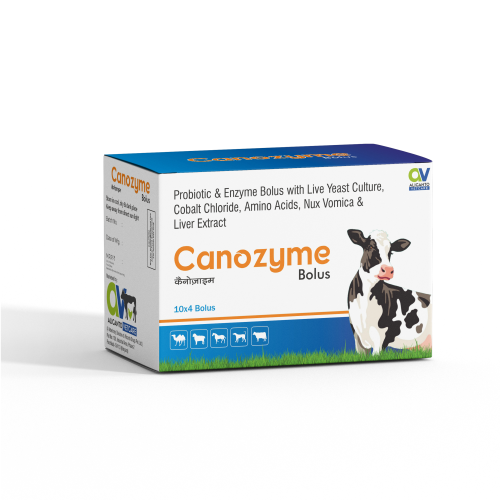 Probiotics and Enzyme Bolus - Canozyme