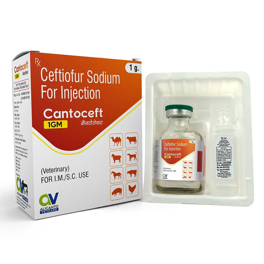 Ceftiofur Sodium Veterinary Injection - Cantoceft 1GM