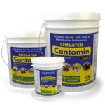 Cantomin Gold