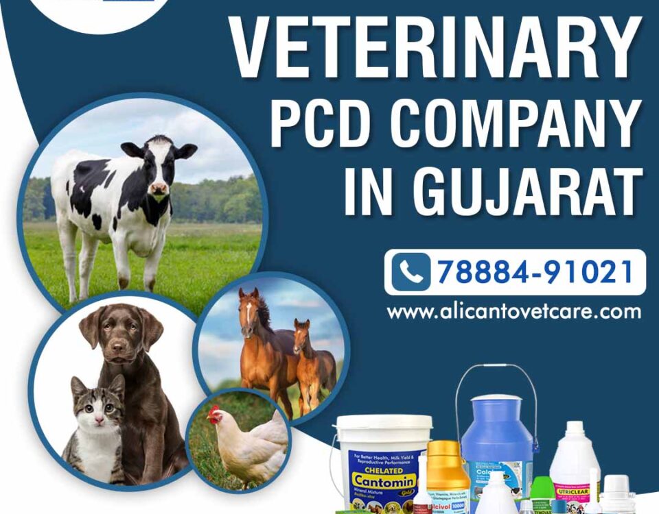 Veterinary PCD Company in Gujarat