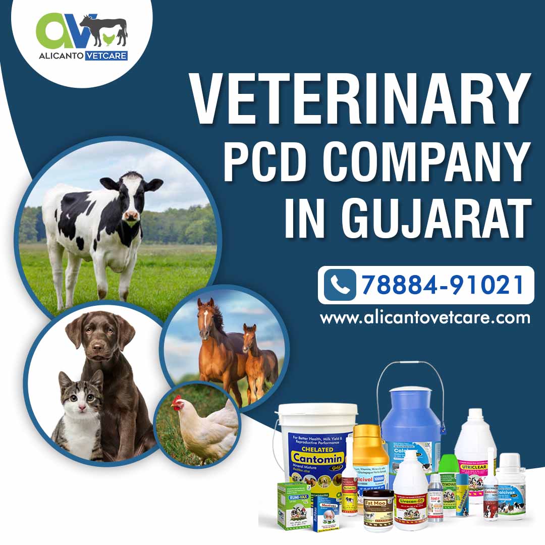 Veterinary PCD Company in Gujarat