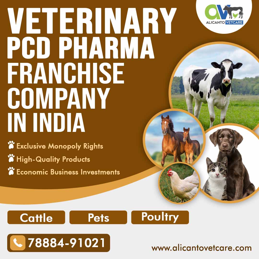 Veterinary PCD Pharma Franchise Company in India 