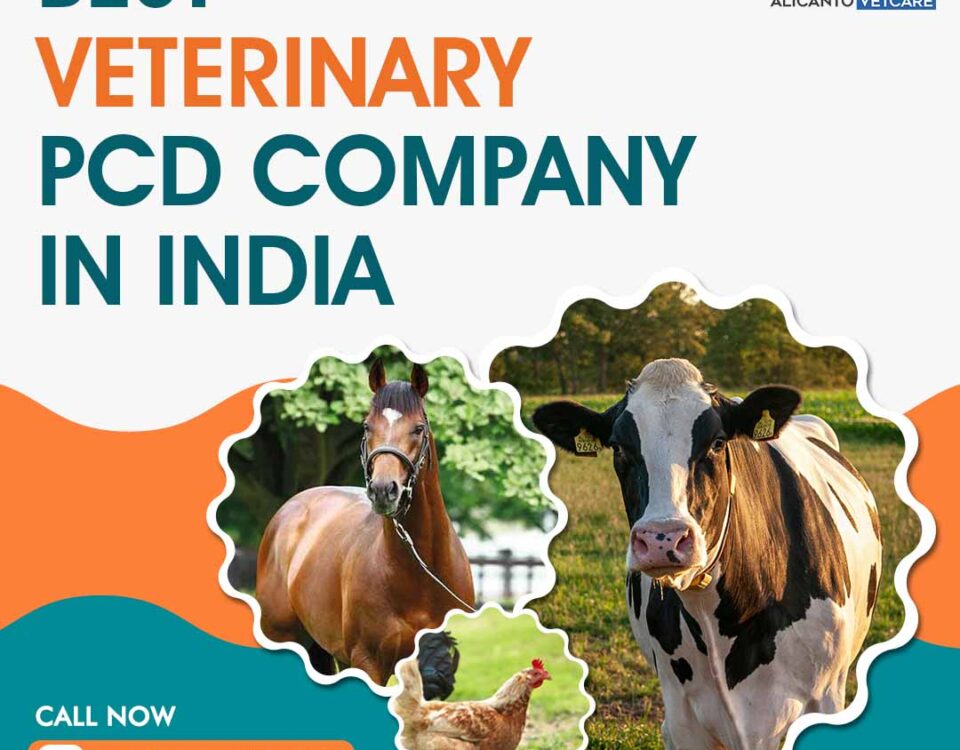 Best Veterinary PCD Company in India