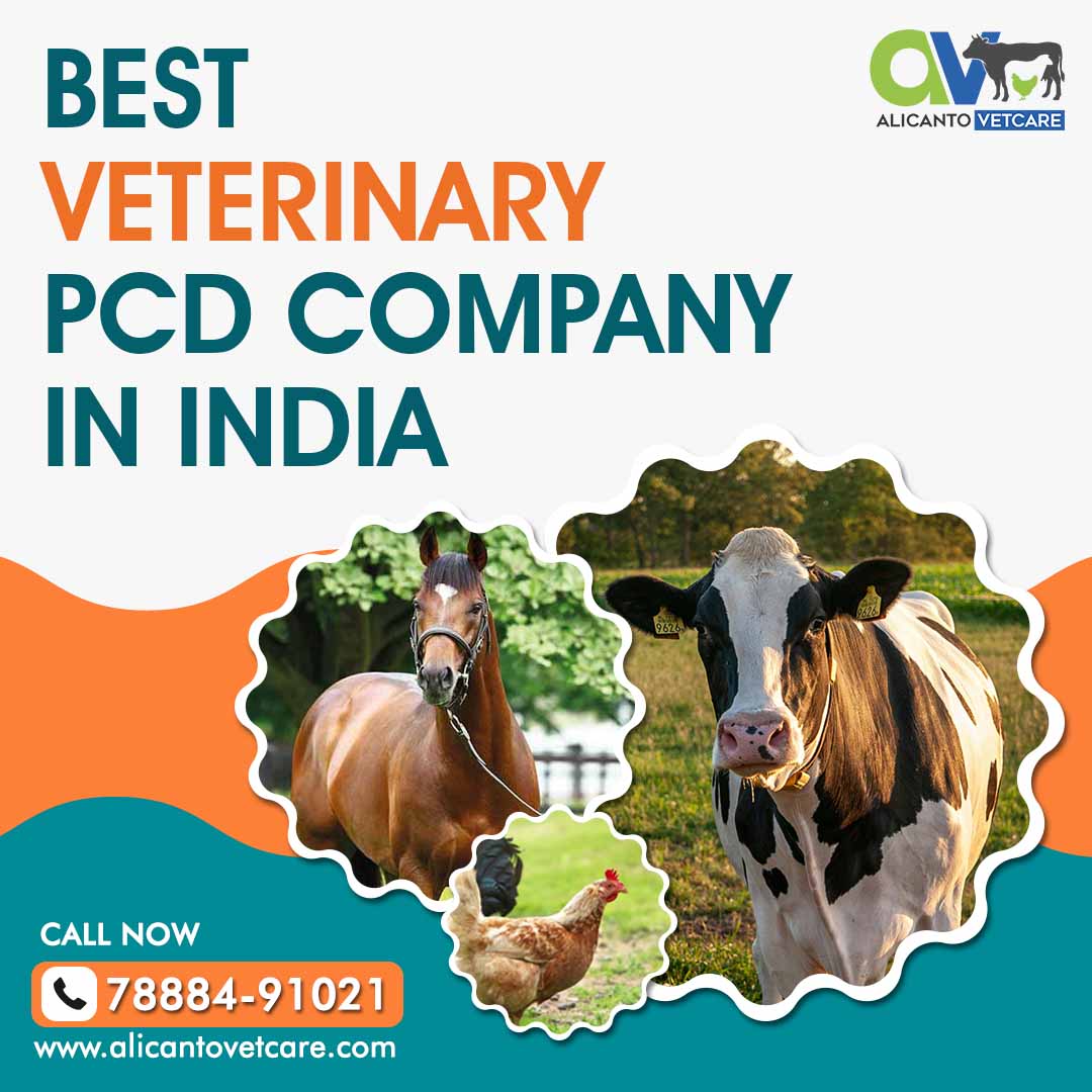 Best Veterinary PCD Company in India