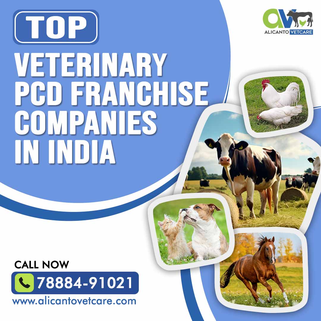 Top Veterinary PCD Franchise Companies in India