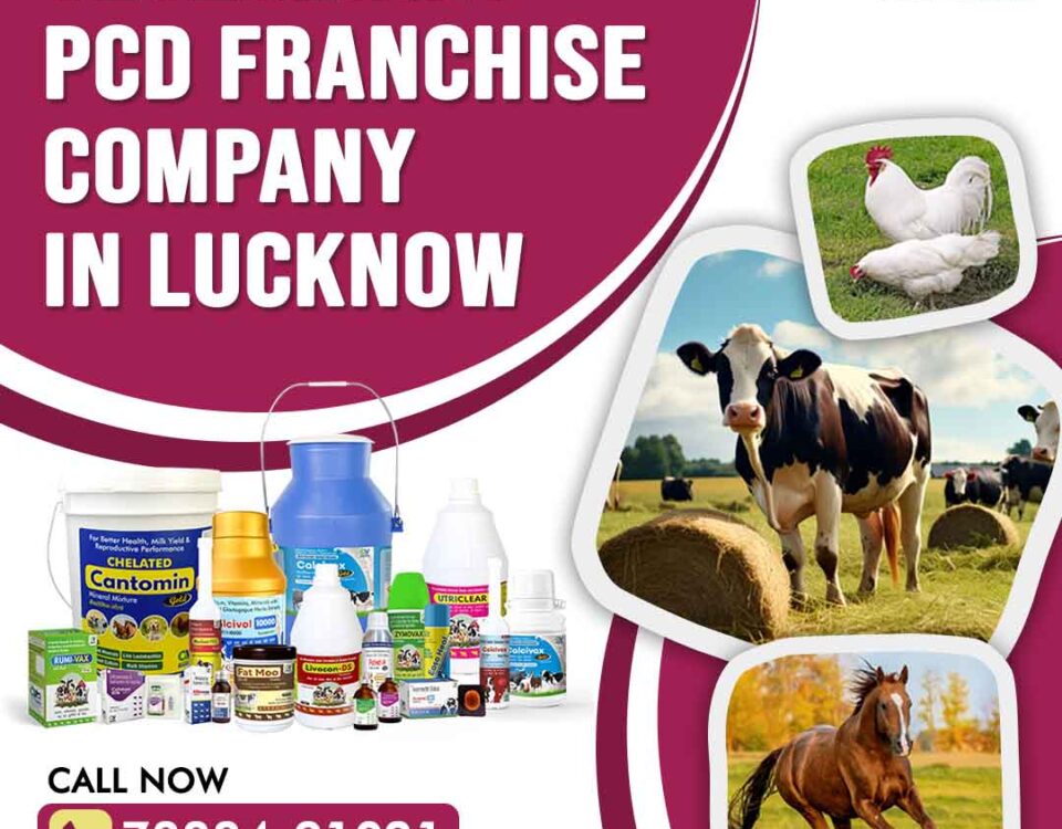 Veterinary PCD Franchise Company in Lucknow