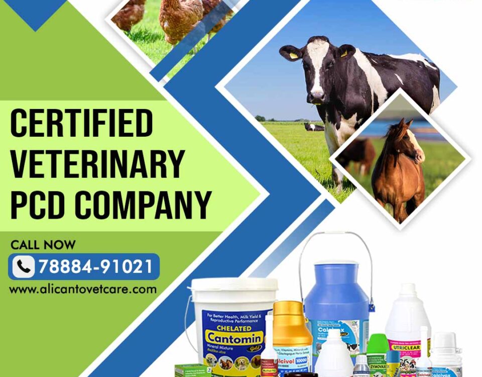 Certified Veterinary PCD Company