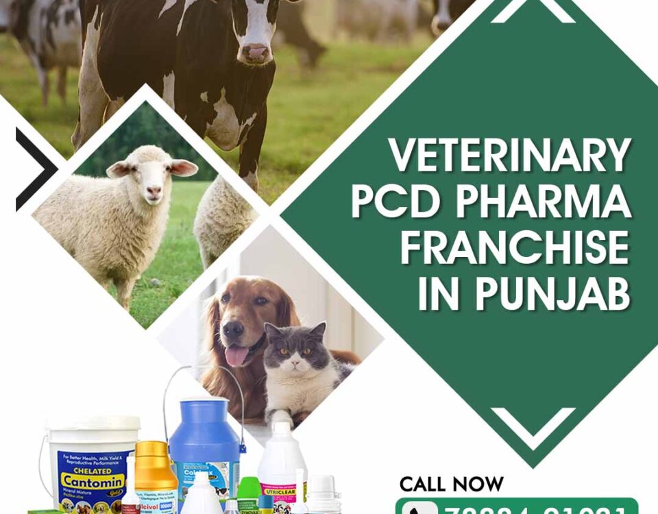 Veterinary PCD Pharma Franchise in Punjab