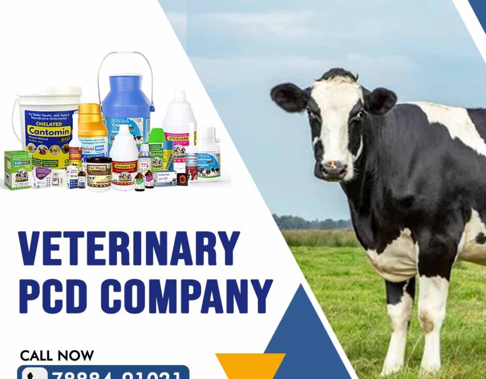 Veterinary PCD Company