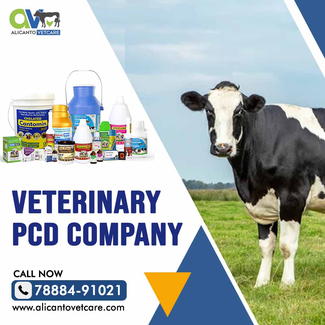 Veterinary PCD Company | Veterinary PCD Pharma Company